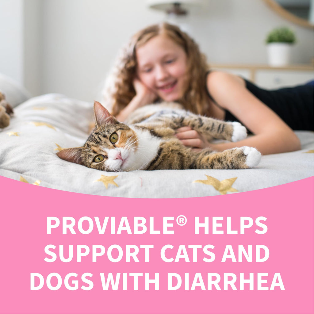 Nutramax Proviable Probiotics + Prebiotics, for Dogs & Cats, Capsules, 80ct