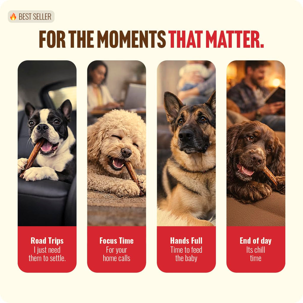 Natural Farm Odor-Free Bully Sticks (6 Inch, 25 count),1.3 lb. Bag, Fully Digestible 100% Beef Pizzle Chews,Grass-Fed, Non-GMO,Grain-Free, Natural Long-Lasting Chews for Small & Large Dogs. Pack of 25