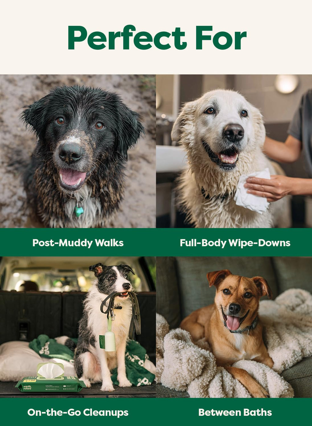 Earth Rated Pet Wipes for Dogs and Cats, Hypoallergenic, Cleaning and Hydrating, for Paws, Body and Butt (Eye Wipes Unscented, 70 Grooming Wipes)
