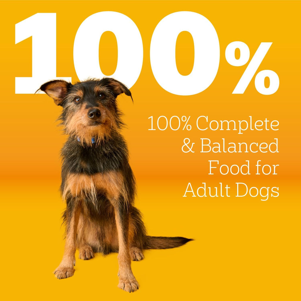 Pedigree Complete Nutrition Dry Dog Food, Chicken & Vegetable, 3.5 lb
