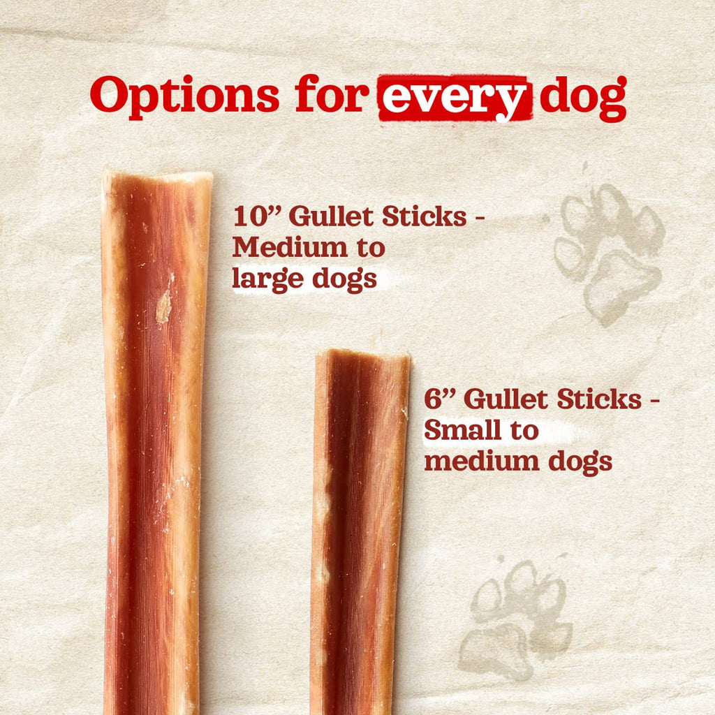 Natural Farm Odor-Free Bully Sticks (6 Inch, 25 count),1.3 lb. Bag, Fully Digestible 100% Beef Pizzle Chews,Grass-Fed, Non-GMO,Grain-Free, Natural Long-Lasting Chews for Small & Large Dogs. Pack of 25