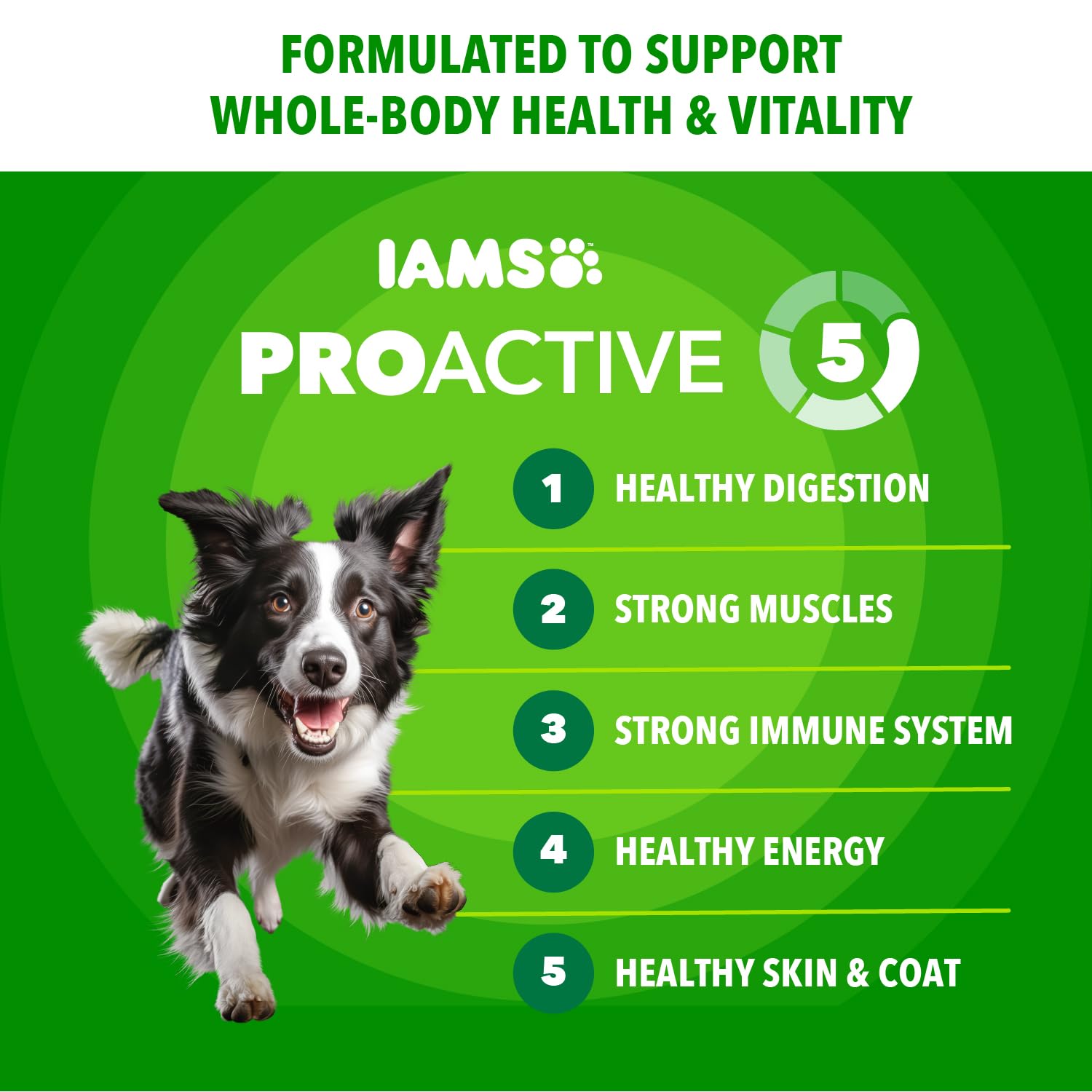 IAMS Proactive Health Adult Minichunks Dry Dog Food, Chicken, 40 lb