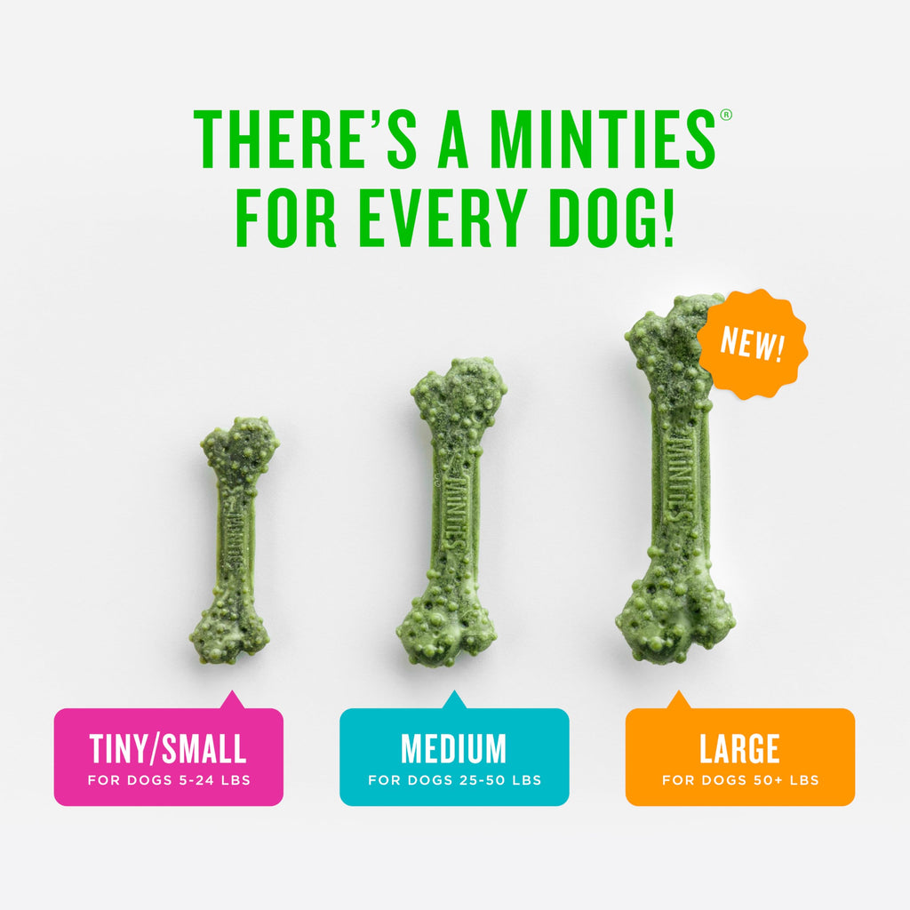 Minties Dental Chews for Dogs, 36 Count, Vet-Recommended Mint-Flavored Dog Treats for Large Breeds Over 50 lbs, Dental Bones Clean Teeth, Fight Bad Breath, Removes Plaque and Tartar