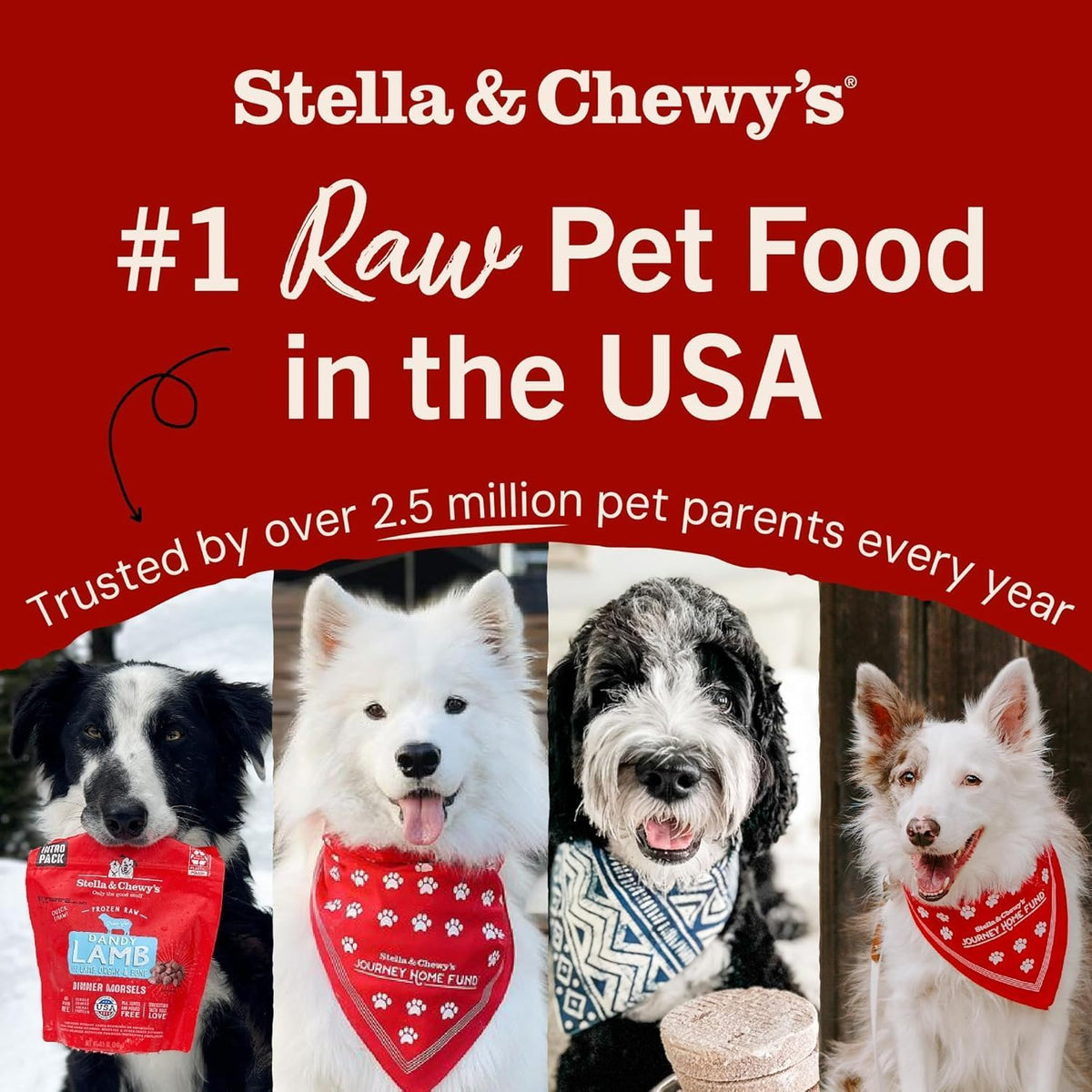 Stella & Chewy’s Freeze Dried Raw Dinner Patties – Grain Free Dog Food, Protein Rich Stella’s Super Beef Recipe – 5.5 oz