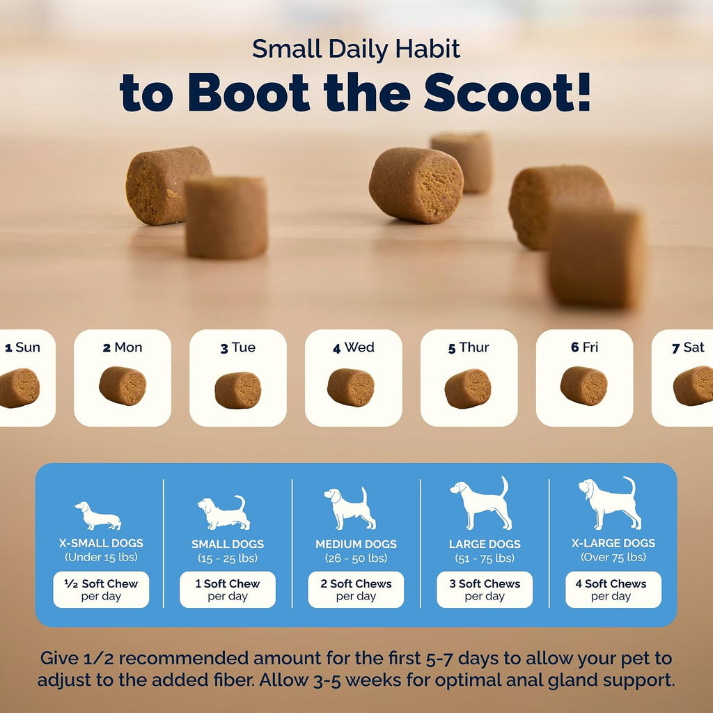 Vetnique Glandex for Dogs Anal Gland Chews 120ct Pumpkin, Digestive Enzymes