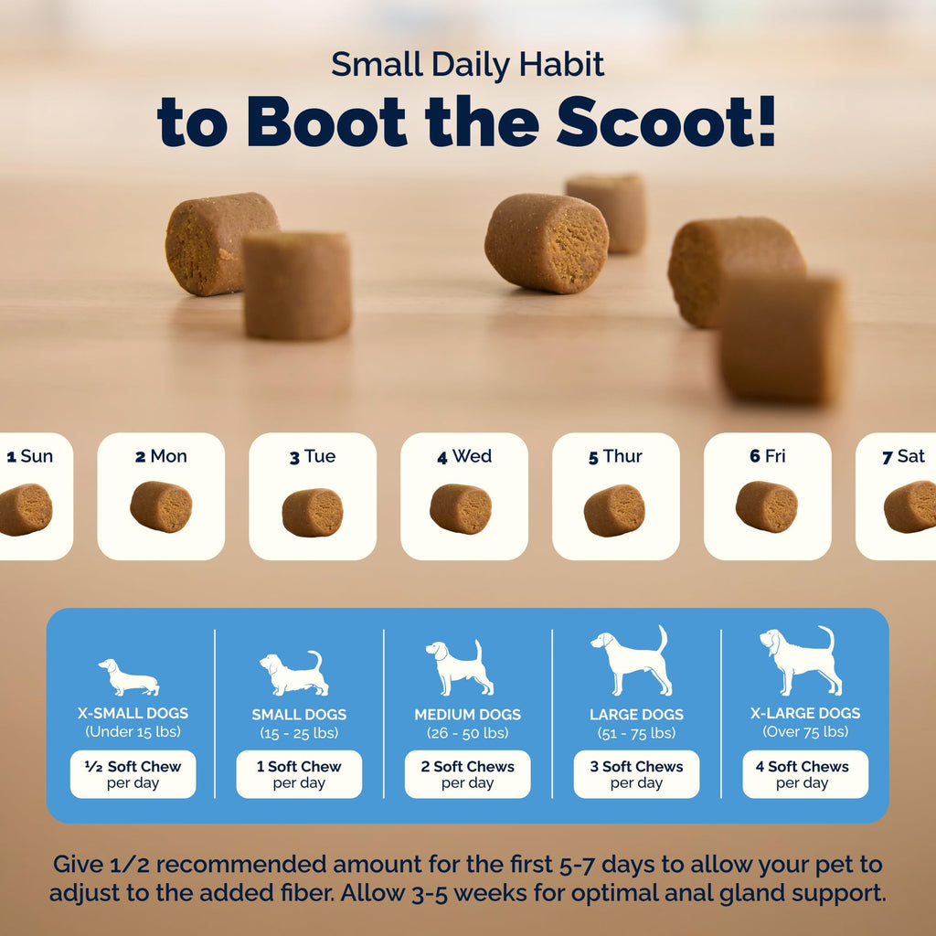 Vetnique Glandex for Dogs Anal Gland Chews 120ct Pumpkin, Digestive Enzymes