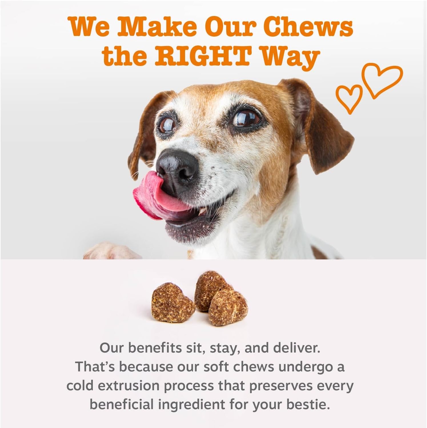 Zesty Paws Dog Vitamins - Dog Multivitamin Chews, Bison, 90 Ct