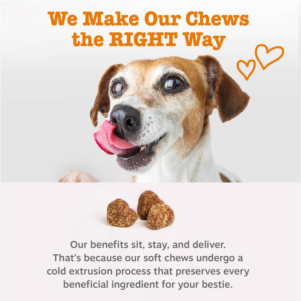 Zesty Paws Dog Allergy Chews - Dog Allergy Relief, Lamb, 90 Ct