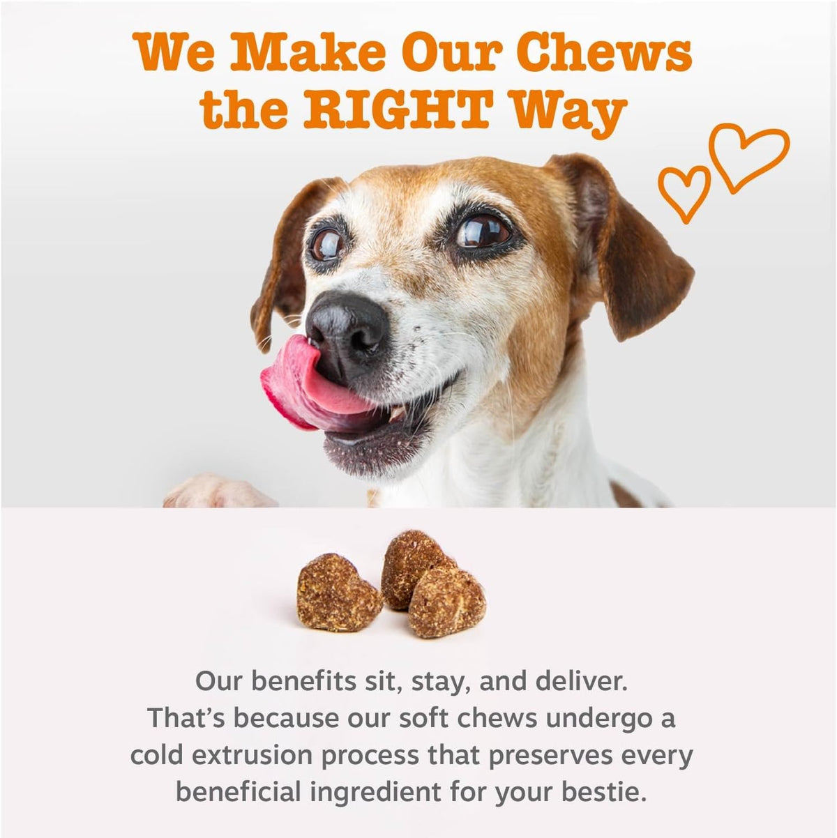 Zesty Paws Dog Allergy Chews - Dog Allergy Relief, Lamb, 90 Ct