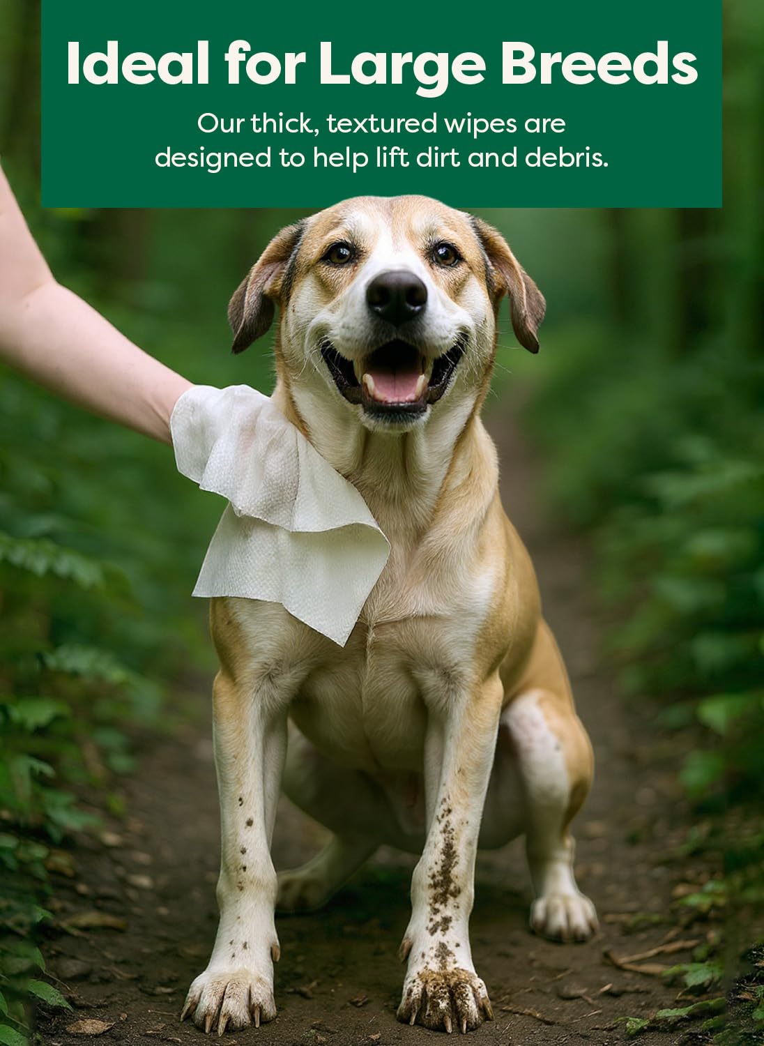 Earth Rated Pet Wipes for Dogs and Cats, Hypoallergenic, Cleaning and Hydrating, for Paws, Body and Butt (Eye Wipes Unscented, 70 Grooming Wipes)