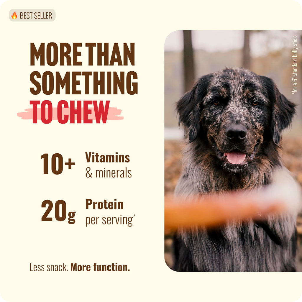 Natural Farm Odor-Free Bully Sticks (6 Inch, 25 count),1.3 lb. Bag, Fully Digestible 100% Beef Pizzle Chews,Grass-Fed, Non-GMO,Grain-Free, Natural Long-Lasting Chews for Small & Large Dogs. Pack of 25