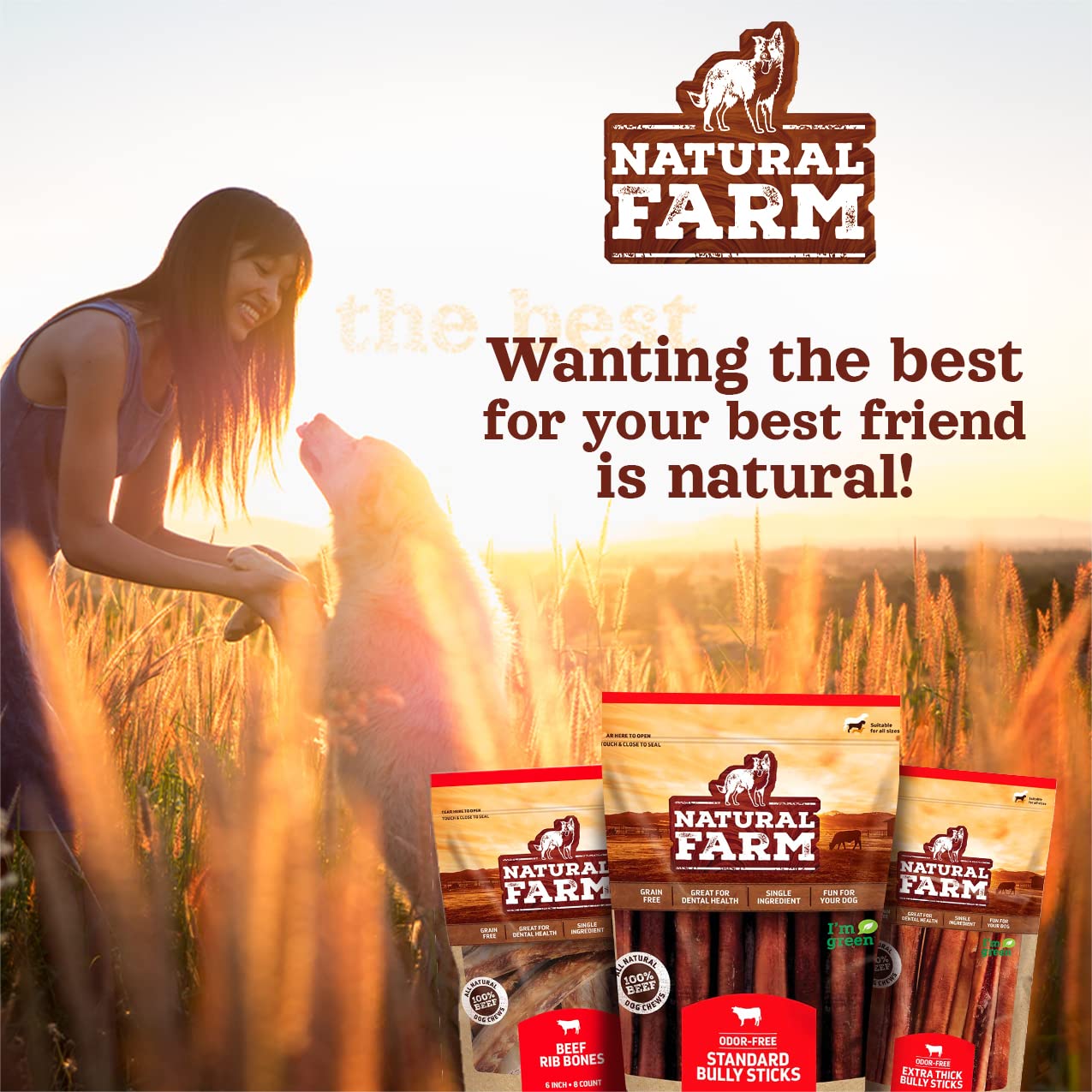 Natural Farm Odor-Free Bully Sticks (6 Inch, 25 count),1.3 lb. Bag, Fully Digestible 100% Beef Pizzle Chews,Grass-Fed, Non-GMO,Grain-Free, Natural Long-Lasting Chews for Small & Large Dogs. Pack of 25