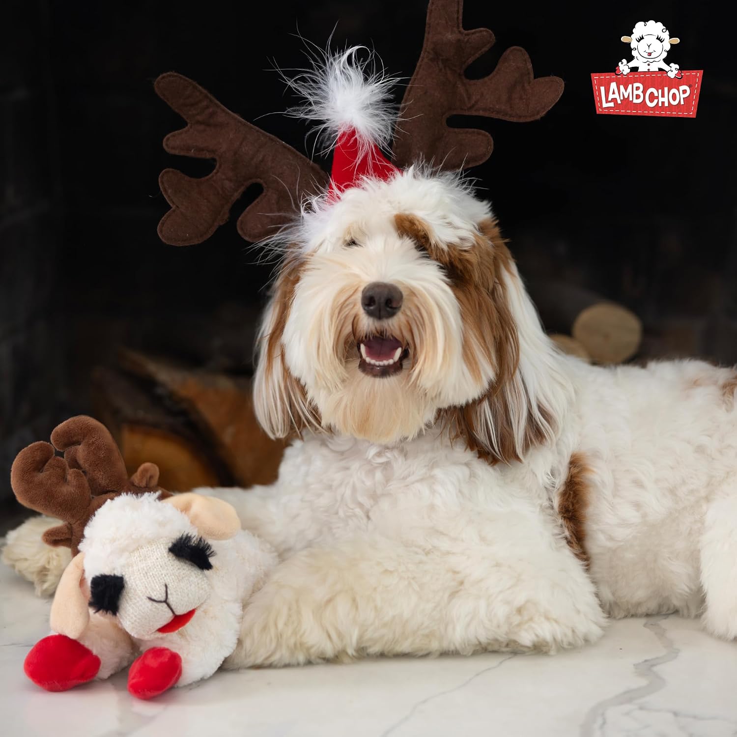 Multipet Lamb Chop Dog Plush Toy - Squeaky Toy for All Dogs - Extra Soft Plush - Stuffed Animal Dog Toy for Cuddling & Playing - Cute Pet Toy (6", Cream)