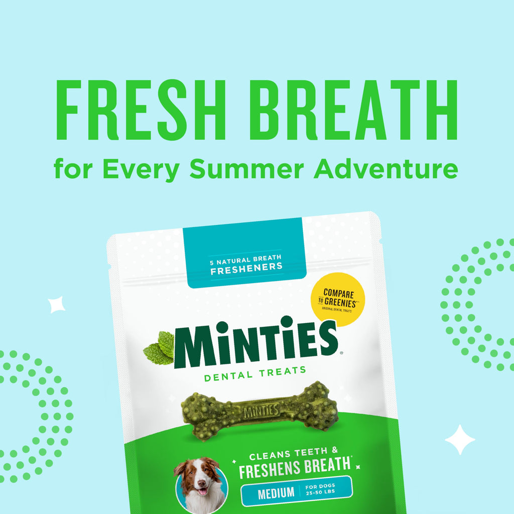 Minties Dental Chews for Dogs, 36 Count, Vet-Recommended Mint-Flavored Dog Treats for Large Breeds Over 50 lbs, Dental Bones Clean Teeth, Fight Bad Breath, Removes Plaque and Tartar