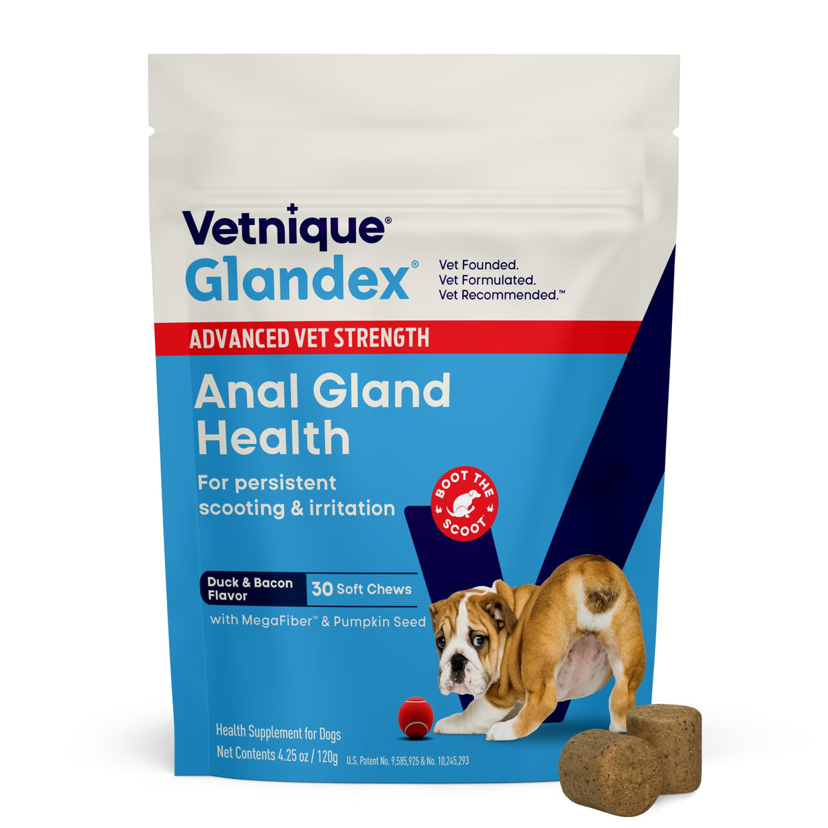 Vetnique Glandex for Dogs Anal Gland Chews 120ct Pumpkin, Digestive Enzymes