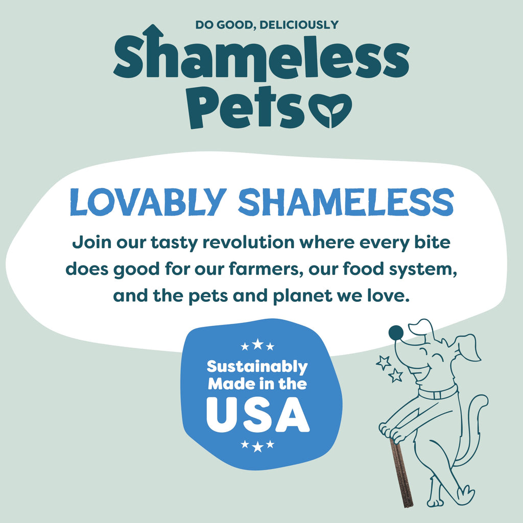 Shameless Pets Blueberry & Mint Dental Chews for Dogs, 8 Chews