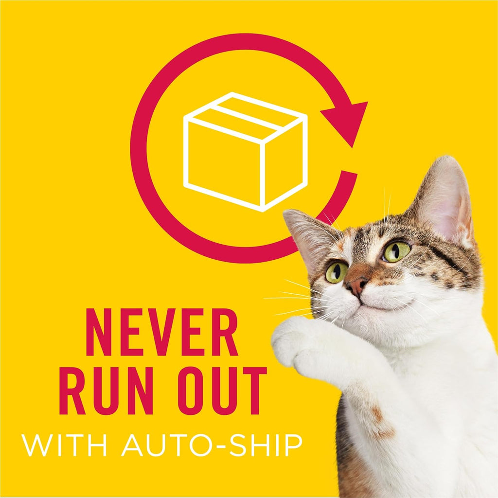 Purina Friskies Wet Cat Food Variety Pack, Shreds, 40 Pack 5.5 oz Cans