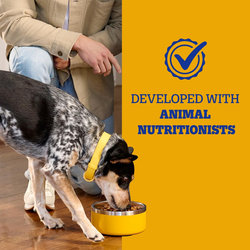 Pedigree Complete Nutrition Dry Dog Food, Chicken & Vegetable, 3.5 lb