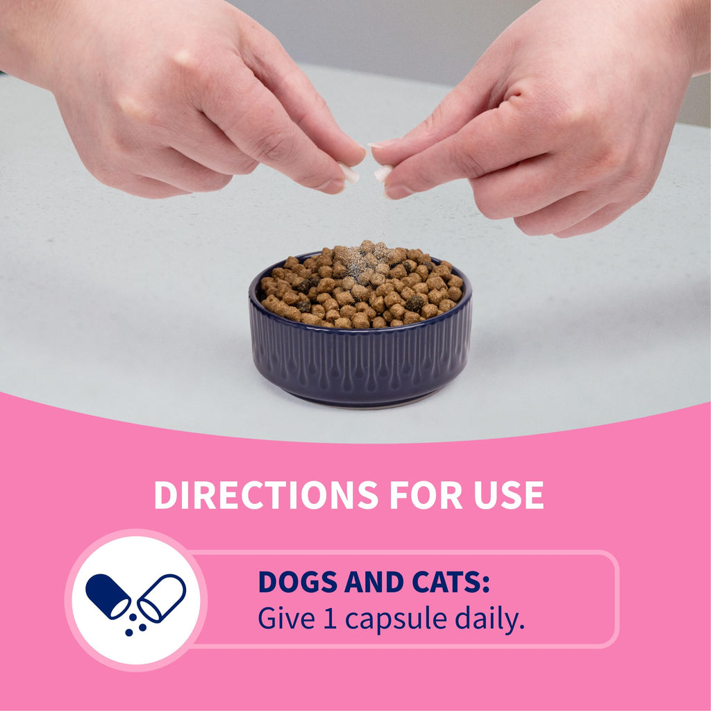 Nutramax Proviable Probiotics + Prebiotics, for Dogs & Cats, Capsules, 80ct