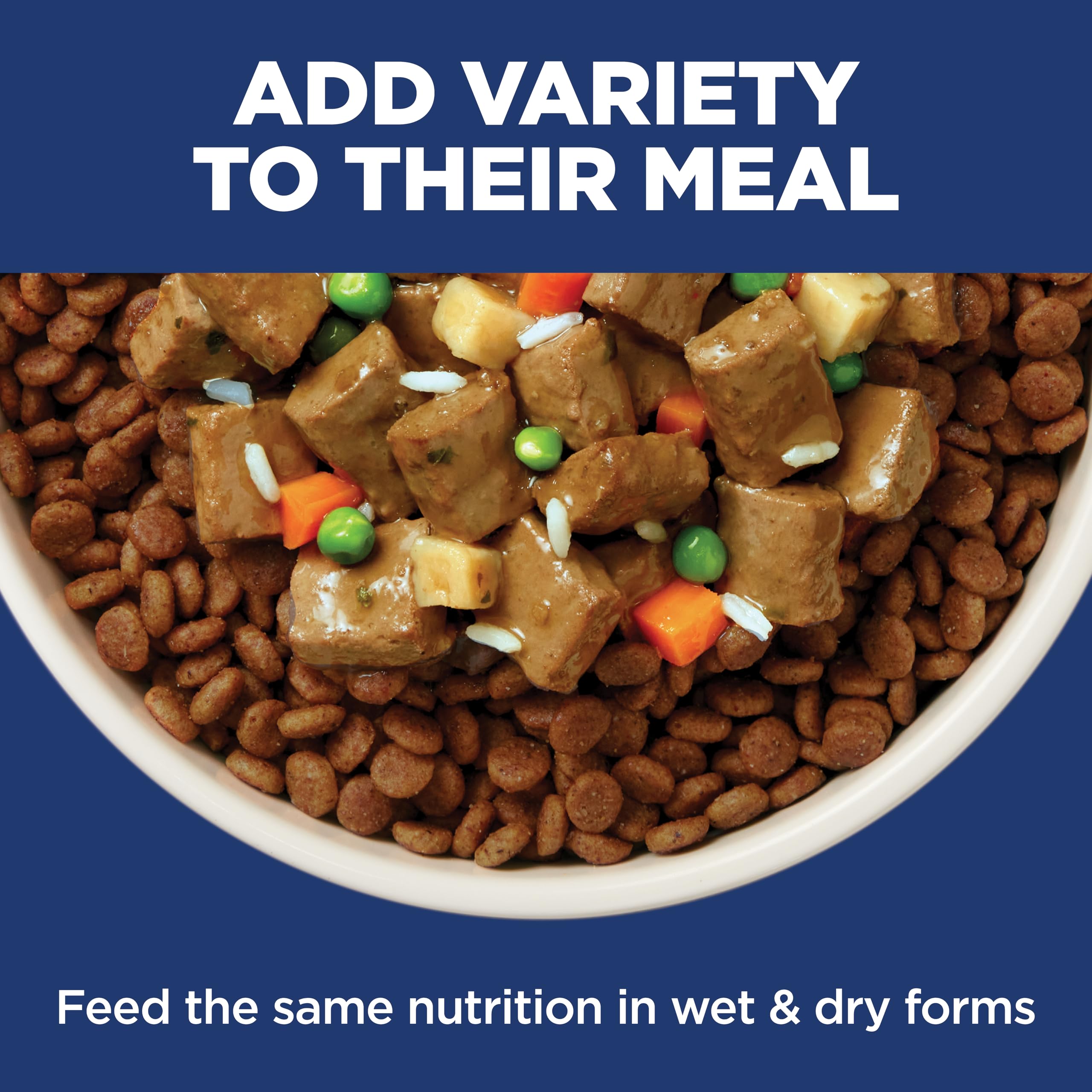 Hill's Science Diet Sensitive Stomach & Skin Dry Dog Food