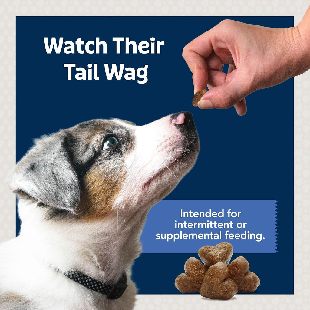 Blue Buffalo Bits Chicken Training Treats, 19 oz