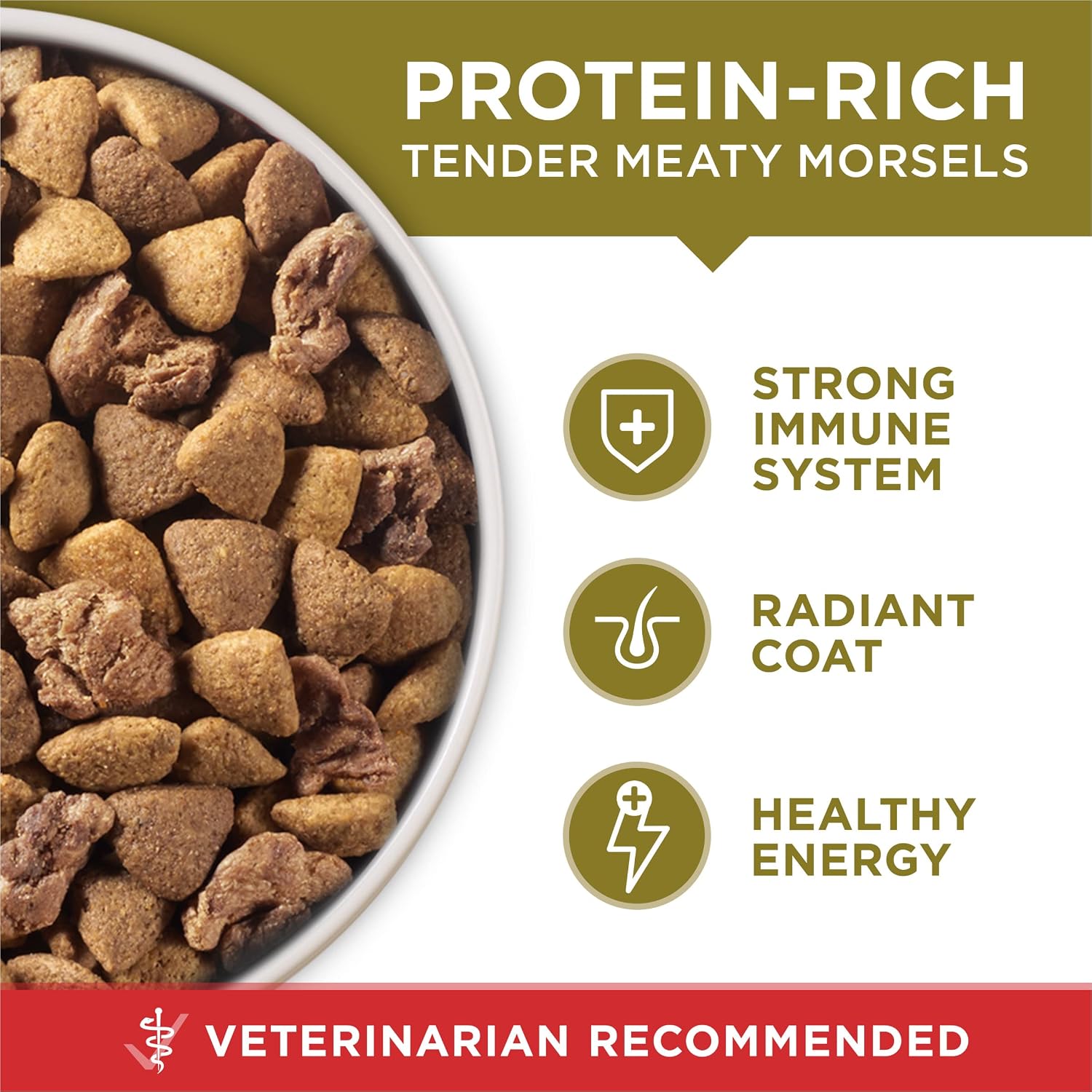 Purina ONE Lamb and Rice Dry Dog Food, 31.1 lb Bag