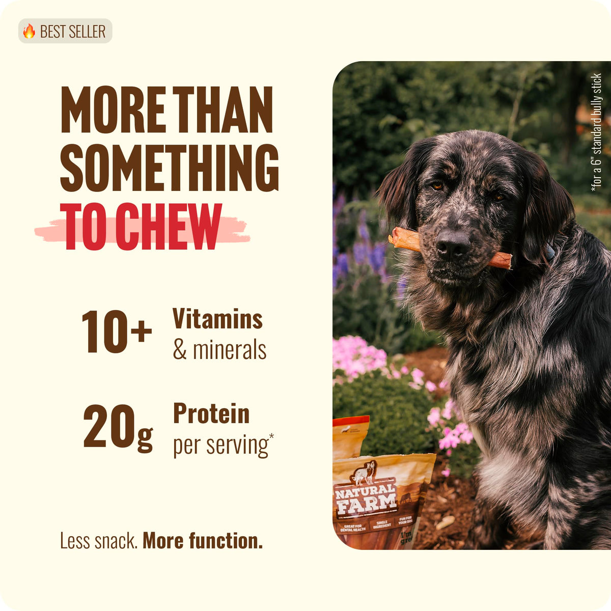 Natural Farm Odor-Free Bully Sticks (6 Inch, 25 count),1.3 lb. Bag, Fully Digestible 100% Beef Pizzle Chews,Grass-Fed, Non-GMO,Grain-Free, Natural Long-Lasting Chews for Small & Large Dogs. Pack of 25