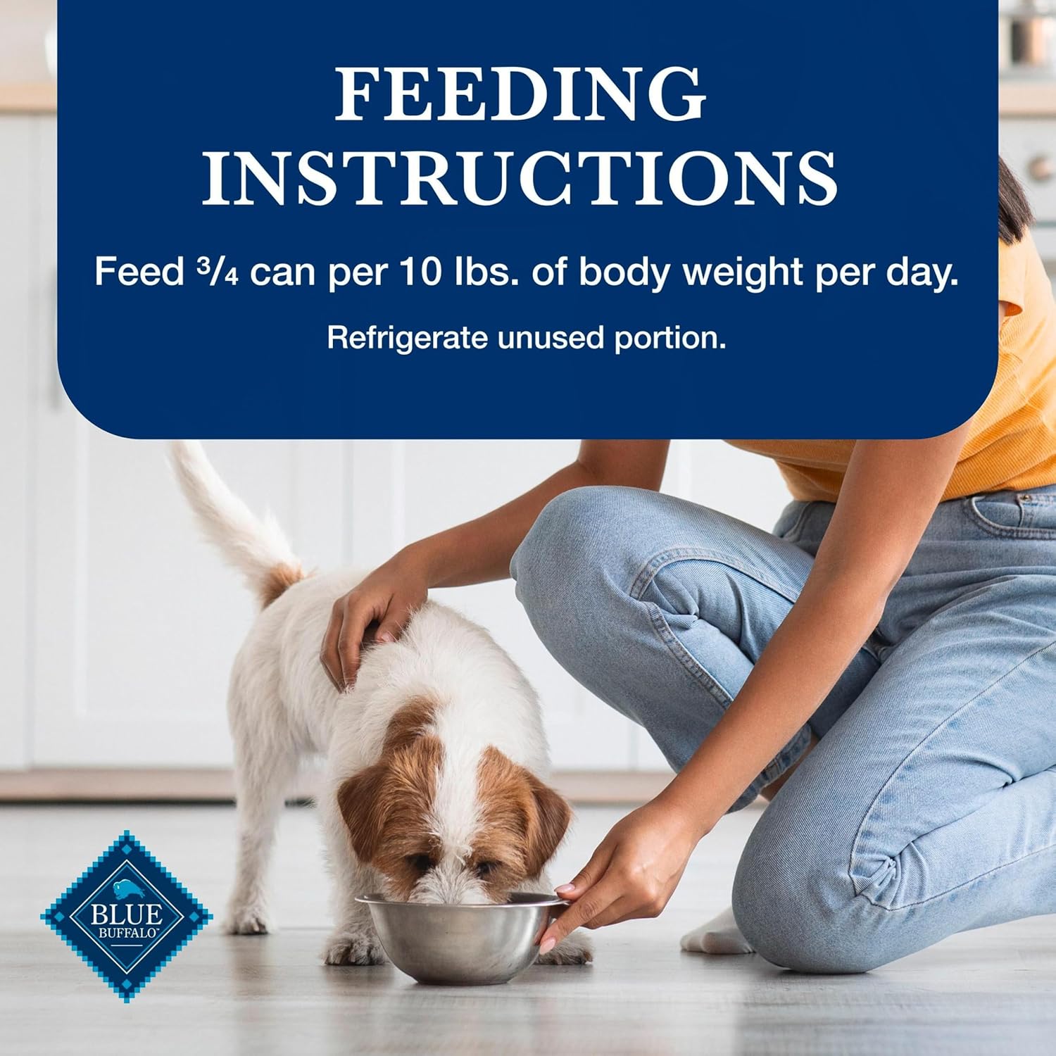 Blue Buffalo Homestyle Recipe Chicken Adult Wet Dog Food, 12.5 oz, 12 ct