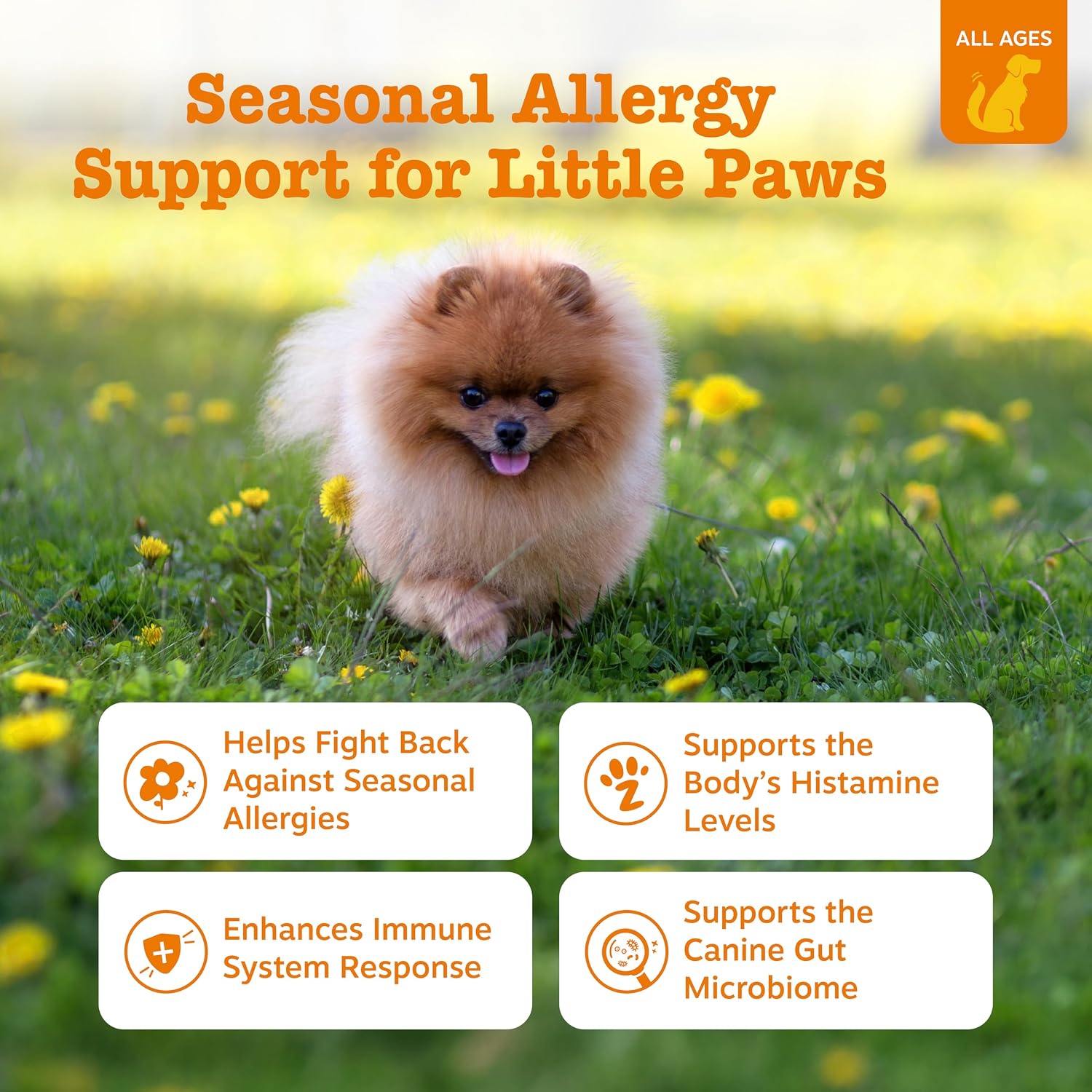 Zesty Paws Dog Allergy Chews - Dog Allergy Relief, Lamb, 90 Ct
