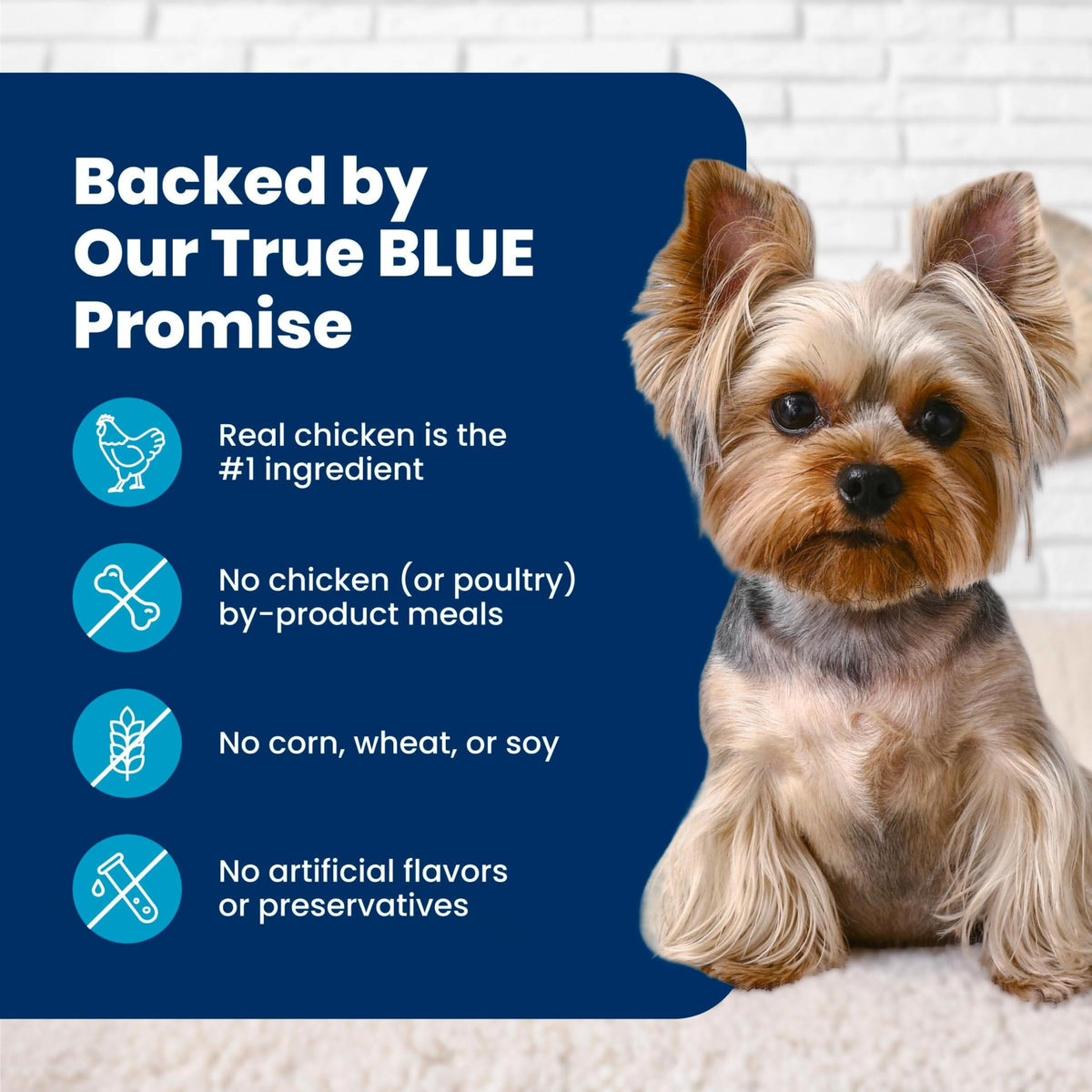 Blue Buffalo Life Protection Formula Chicken Adult Dry Dog Food, 5 lb