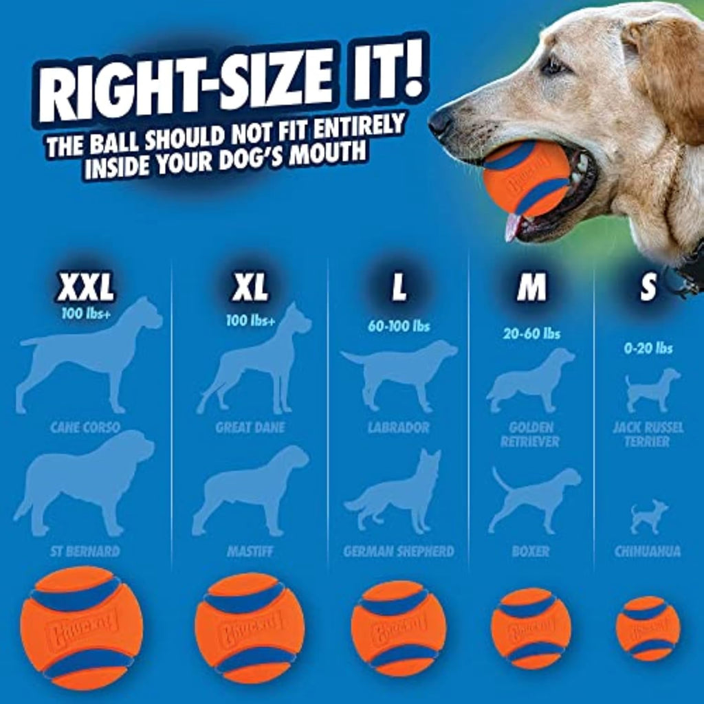 Chuckit! Ultra Ball Dog Toy, Durable Rubber, Medium 2.5-in, 2 Pack