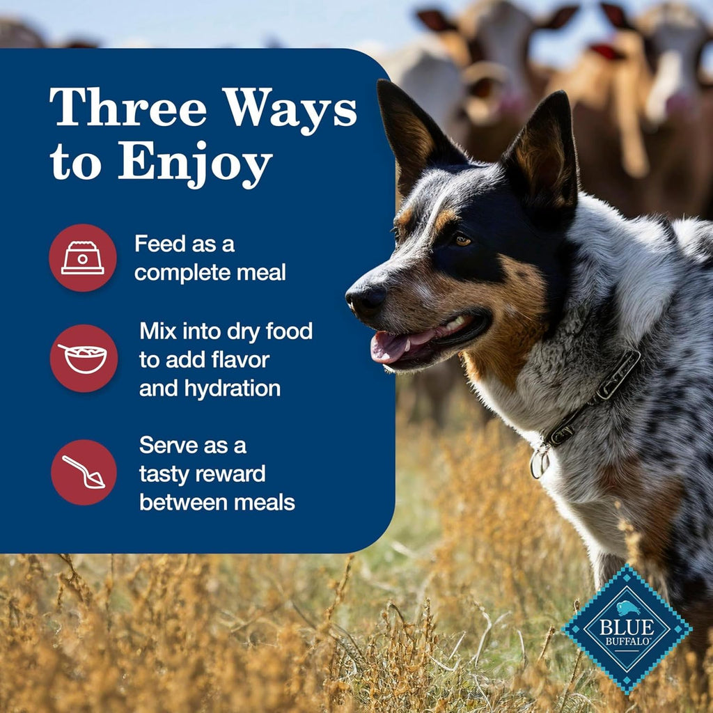 Blue Buffalo Homestyle Recipe Chicken Adult Wet Dog Food, 12.5 oz, 12 ct