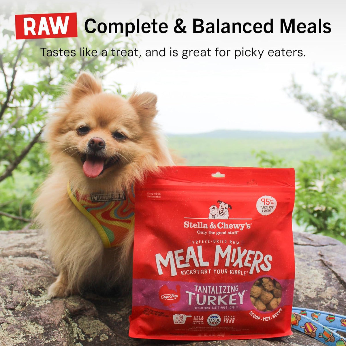 Stella & Chewy's Freeze-Dried Raw Beef Meal Mixers- Dog Food Topper and Mixer - Made with 95% Grass-Fed Beef, Organs & Bone - Perfect for Picky Eaters - Grain-Free - 7 oz
