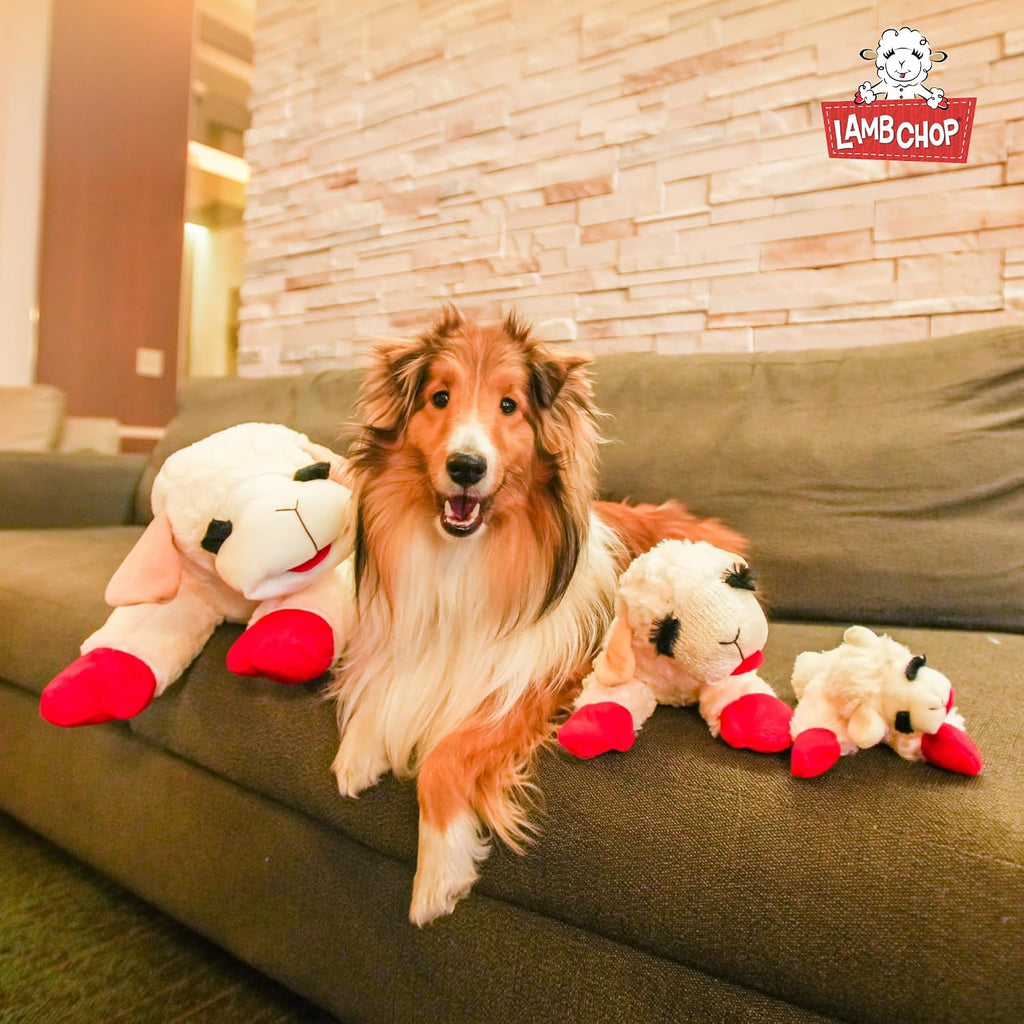 Multipet Lamb Chop Dog Plush Toy - Squeaky Toy for All Dogs - Extra Soft Plush - Stuffed Animal Dog Toy for Cuddling & Playing - Cute Pet Toy (6", Cream)