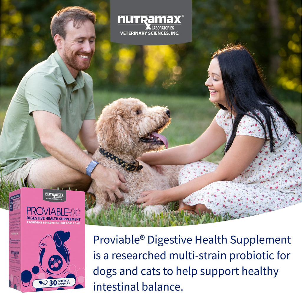 Nutramax Proviable Probiotics + Prebiotics, for Dogs & Cats, Capsules, 80ct