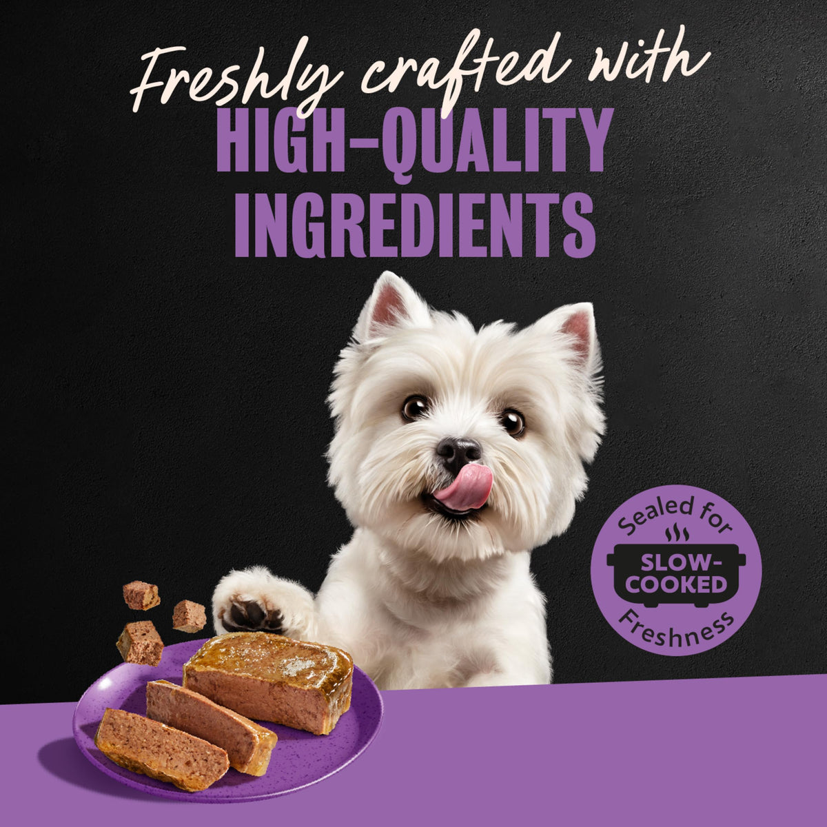 Cesar Classic Loaf in Sauce Wet Dog Food, Meaty Selects, 3.5 oz, 24 Count