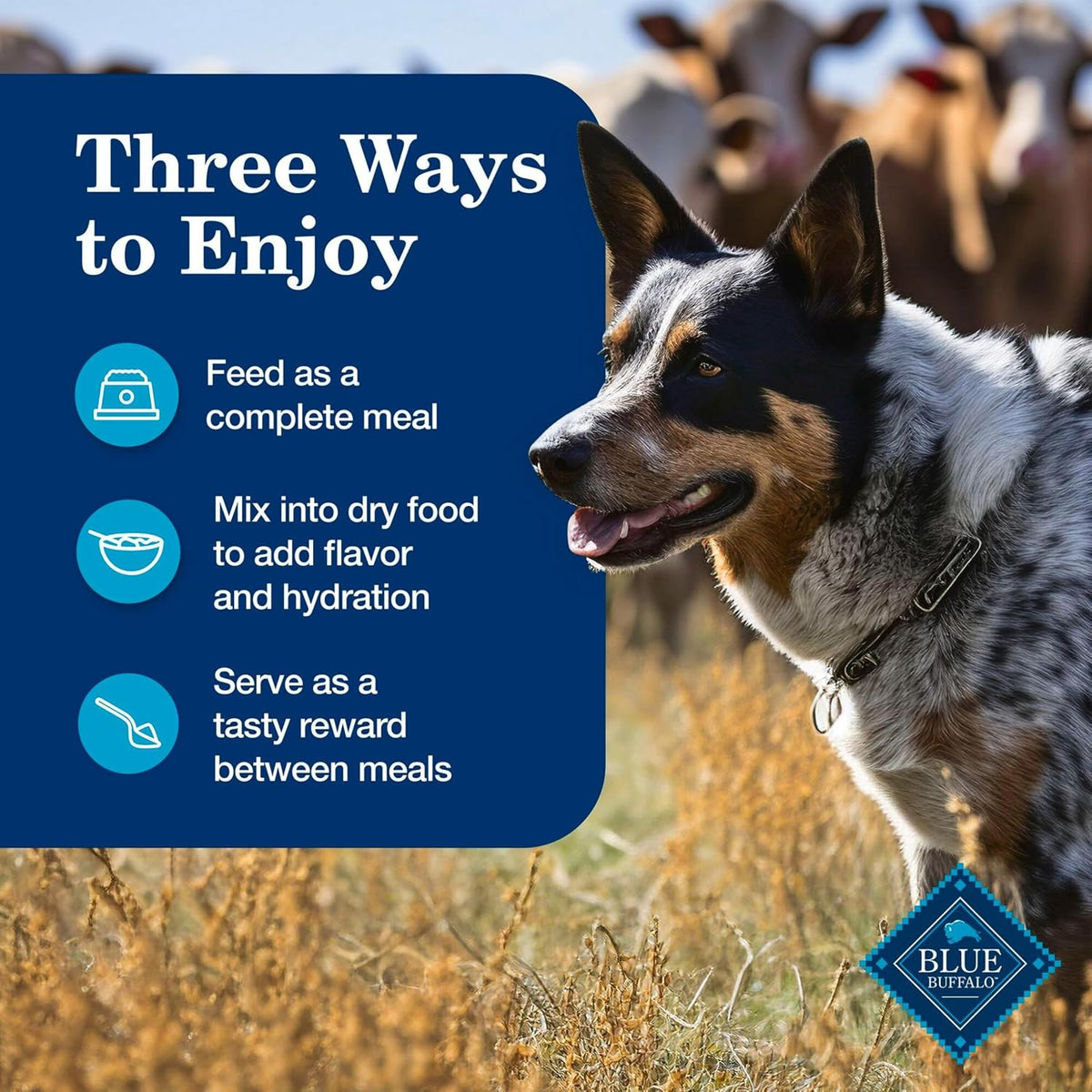 Blue Buffalo Homestyle Recipe Chicken Adult Wet Dog Food, 12.5 oz, 12 ct