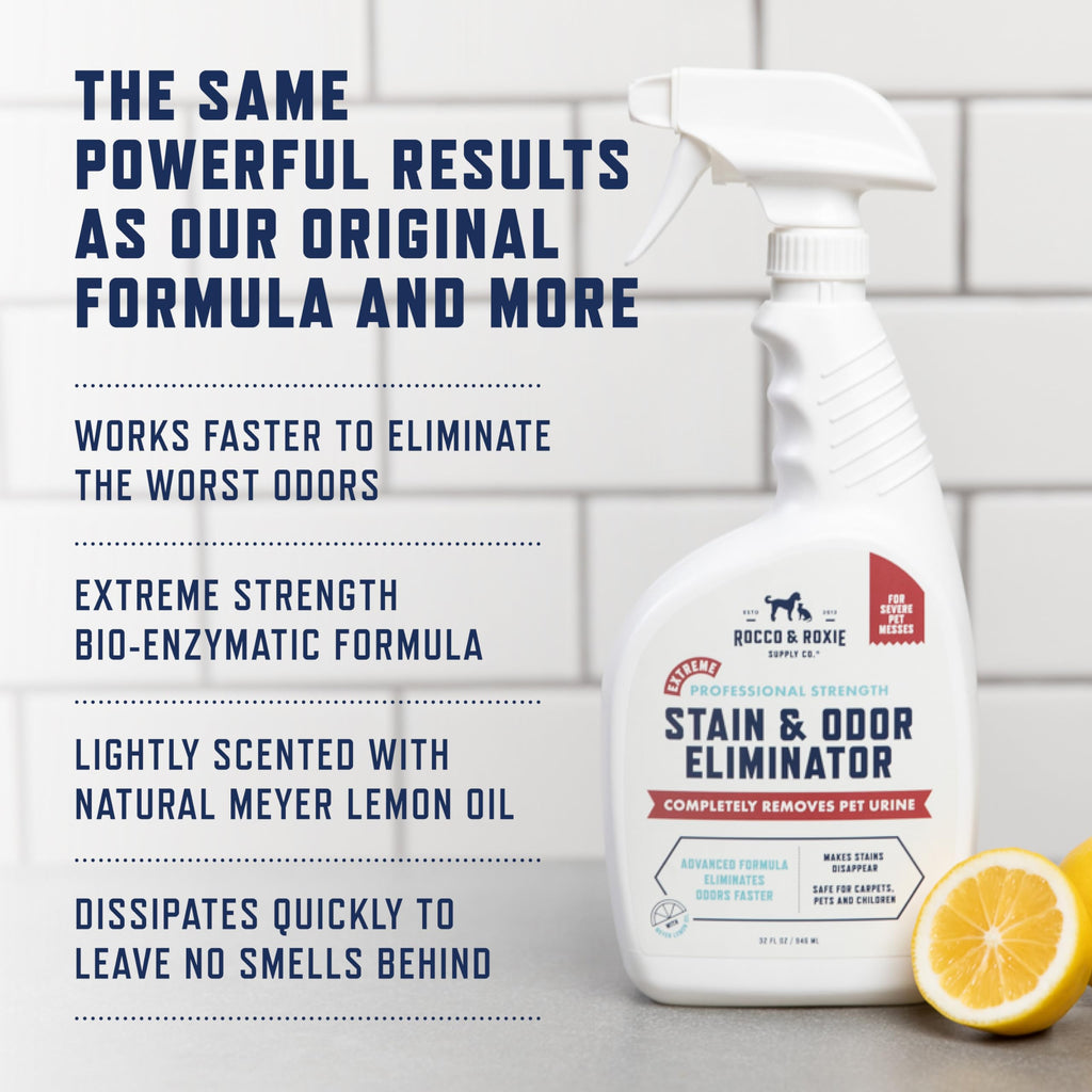 Rocco & Roxie Enzyme Stain & Odor Eliminator, 32 Fl Oz