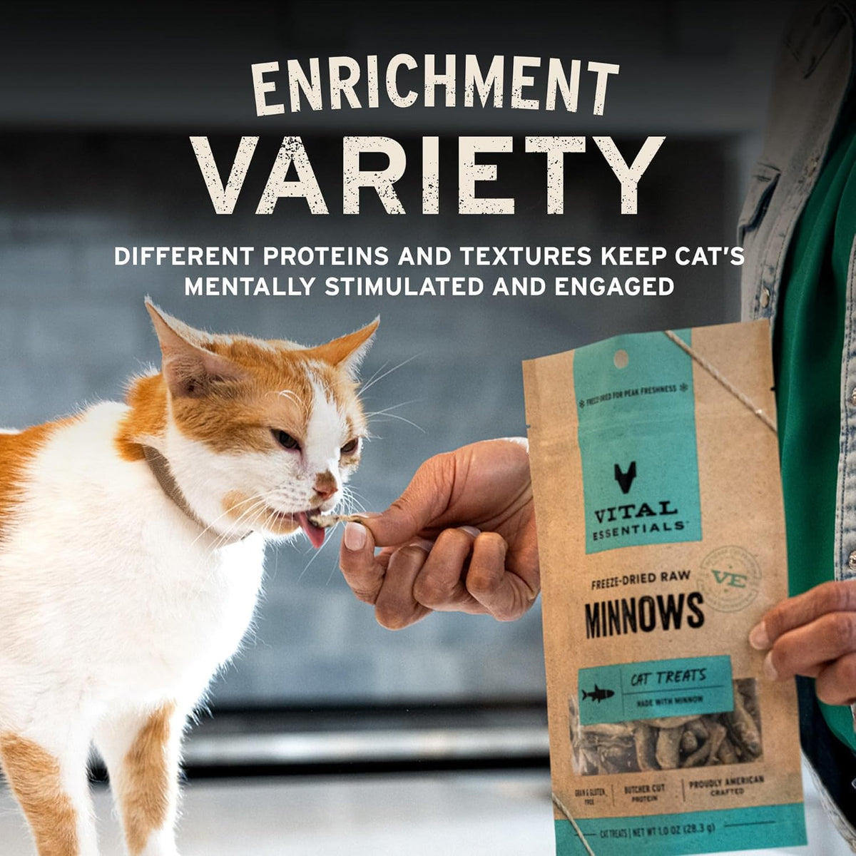 Vital Essentials Freeze Dried Minnows Cat Treats, 1.0 oz Bag