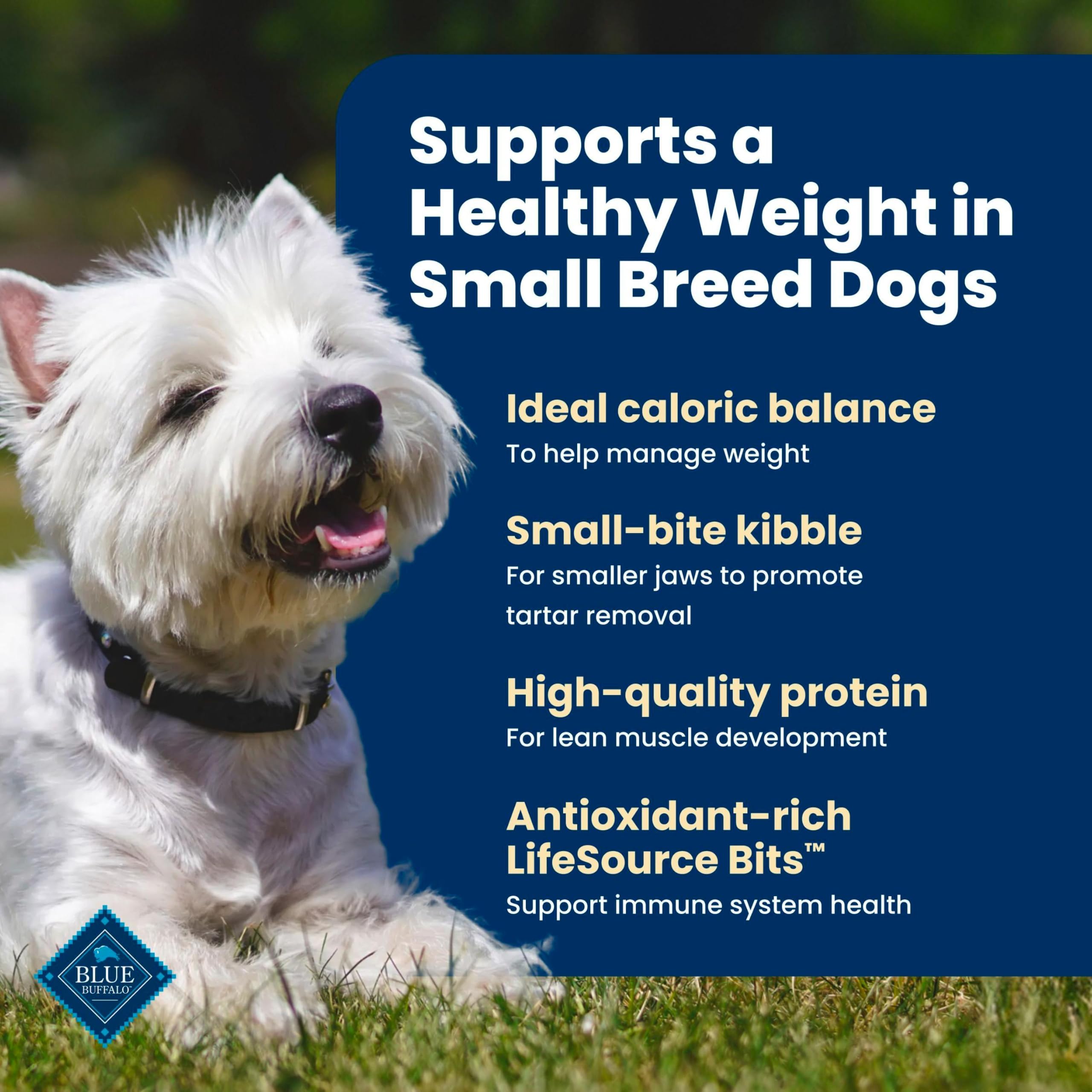 Blue Buffalo Life Protection Formula Chicken Small Breed Dry Dog Food, 5 lb