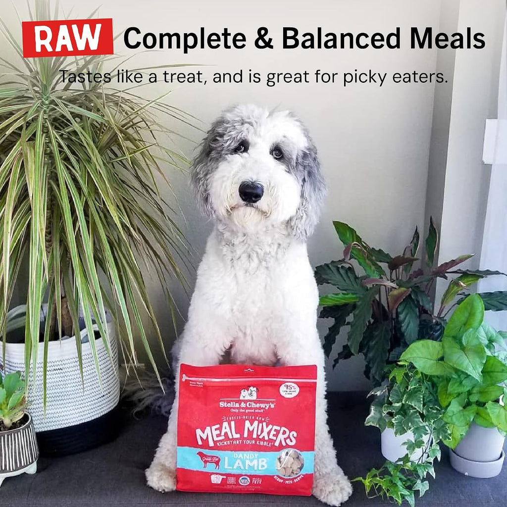 Stella & Chewy's Freeze-Dried Raw Beef Meal Mixers- Dog Food Topper and Mixer - Made with 95% Grass-Fed Beef, Organs & Bone - Perfect for Picky Eaters - Grain-Free - 7 oz