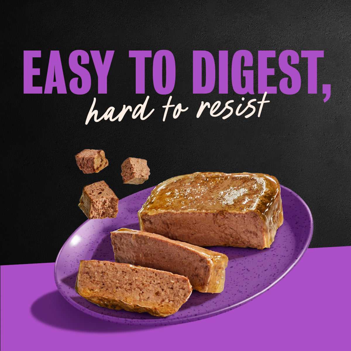 Cesar Classic Loaf in Sauce Wet Dog Food, Meaty Selects, 3.5 oz, 24 Count