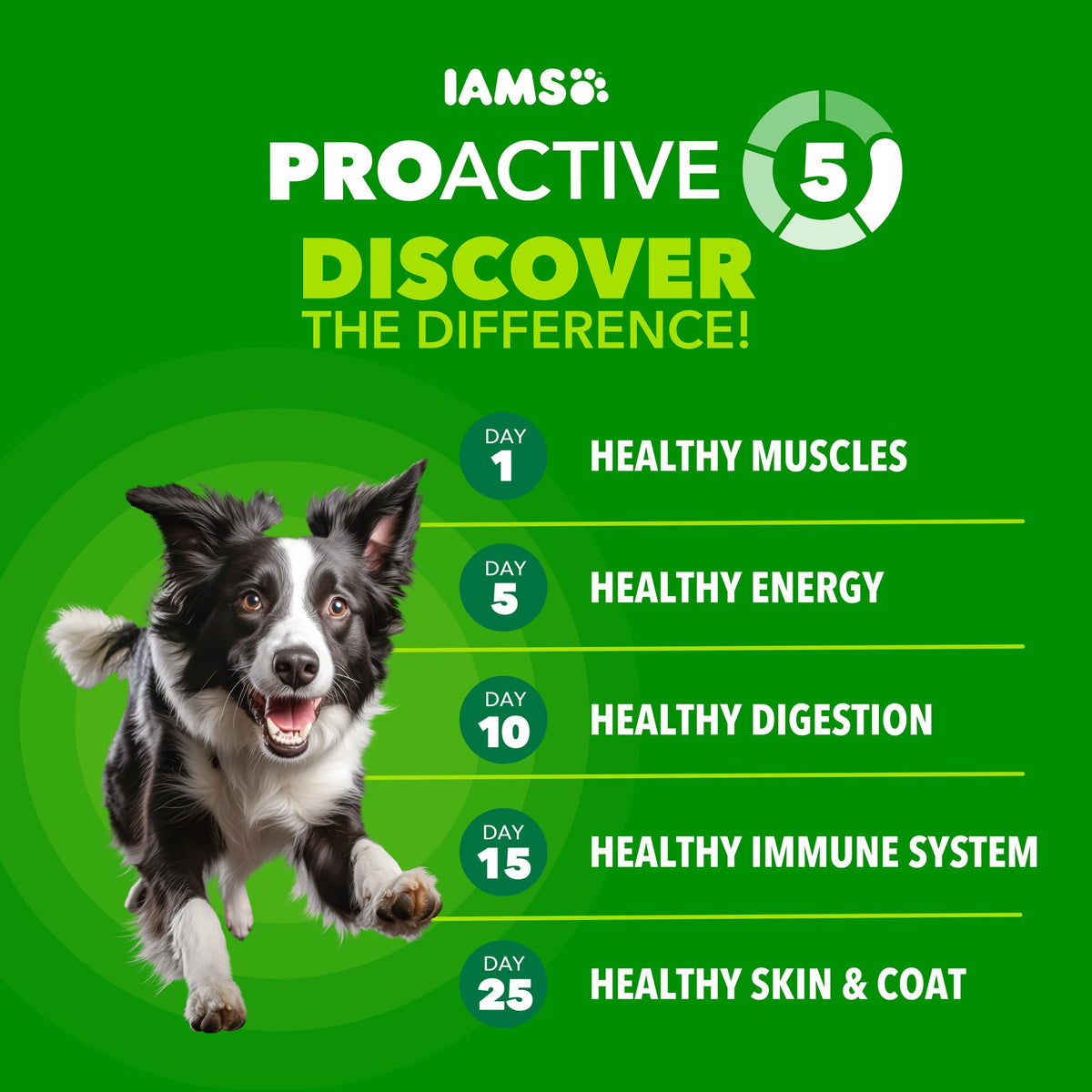 IAMS Proactive Health Adult Minichunks Dry Dog Food, Chicken, 40 lb