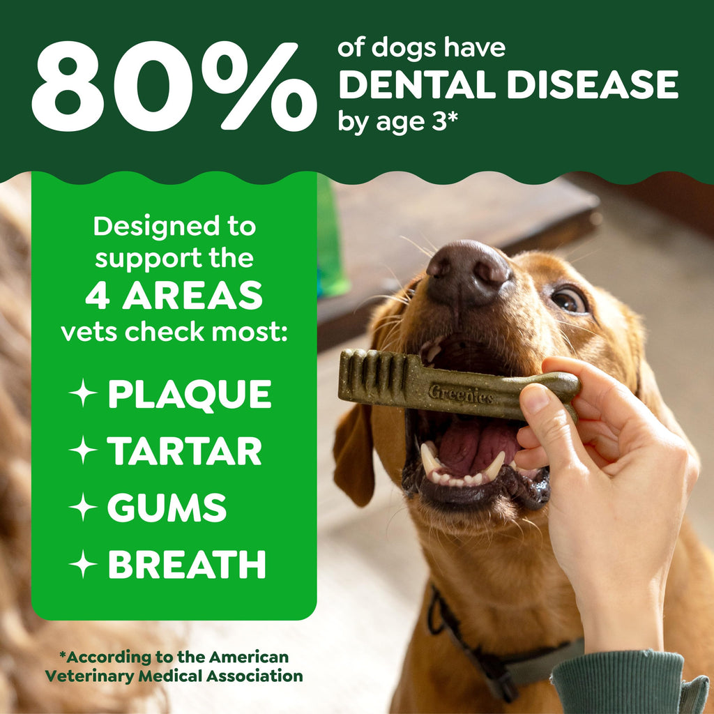 Greenies Large Natural Dental Dog Treats, Original Flavor, 17 Count