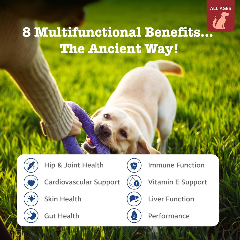 Zesty Paws Dog Vitamins - Dog Multivitamin Chews, Bison, 90 Ct