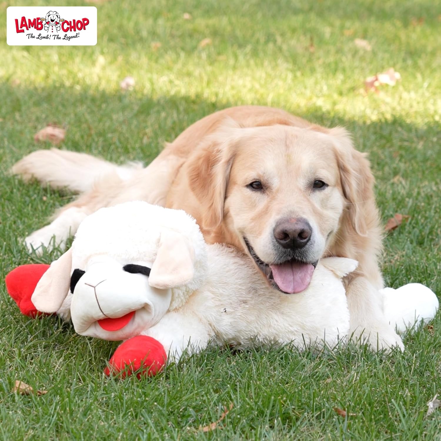 Multipet Lamb Chop Dog Plush Toy - Squeaky Toy for All Dogs - Extra Soft Plush - Stuffed Animal Dog Toy for Cuddling & Playing - Cute Pet Toy (6", Cream)