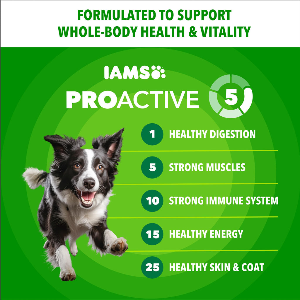 IAMS Proactive Health Adult Minichunks Dry Dog Food, Chicken, 40 lb