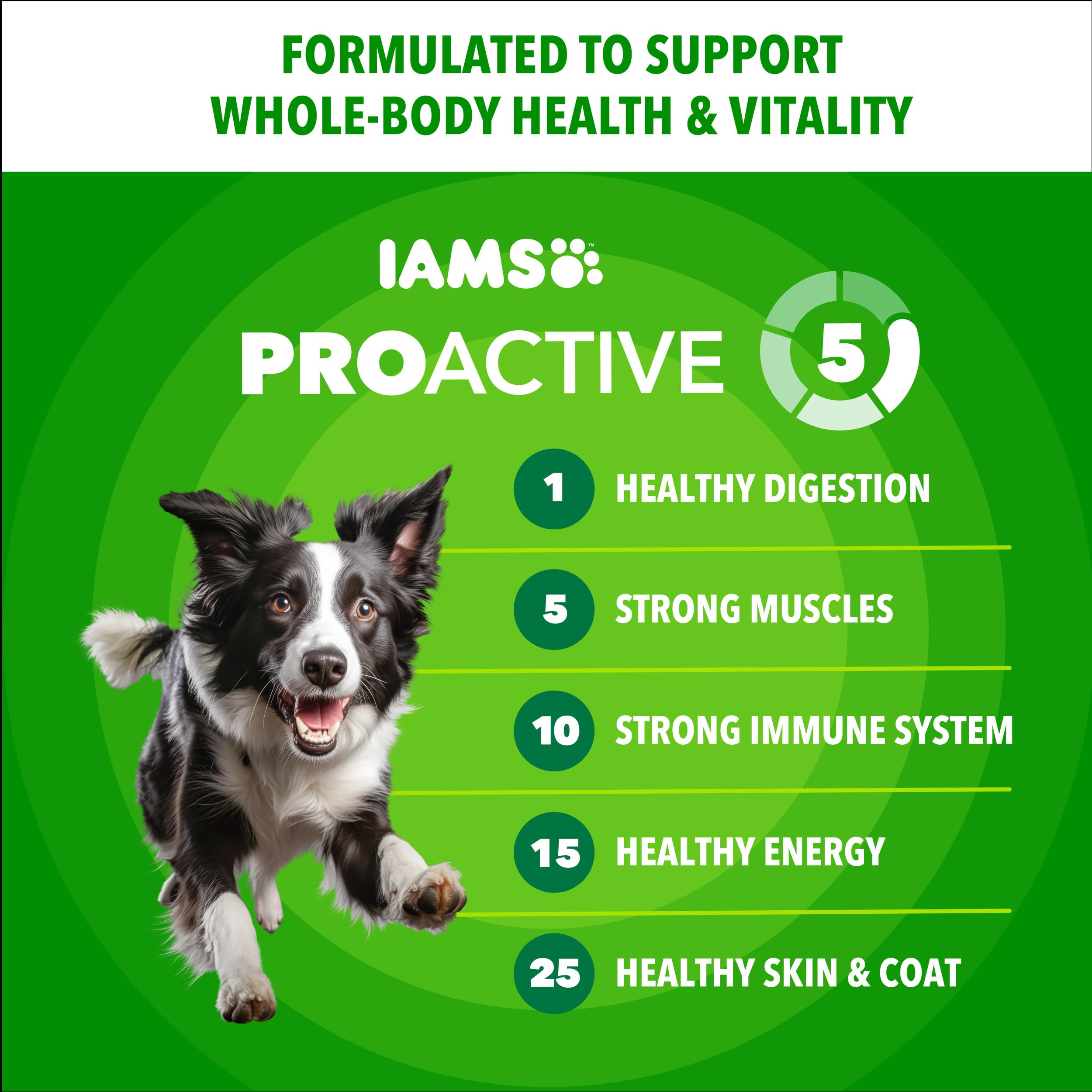 IAMS Proactive Health Adult Minichunks Dry Dog Food, Chicken, 40 lb