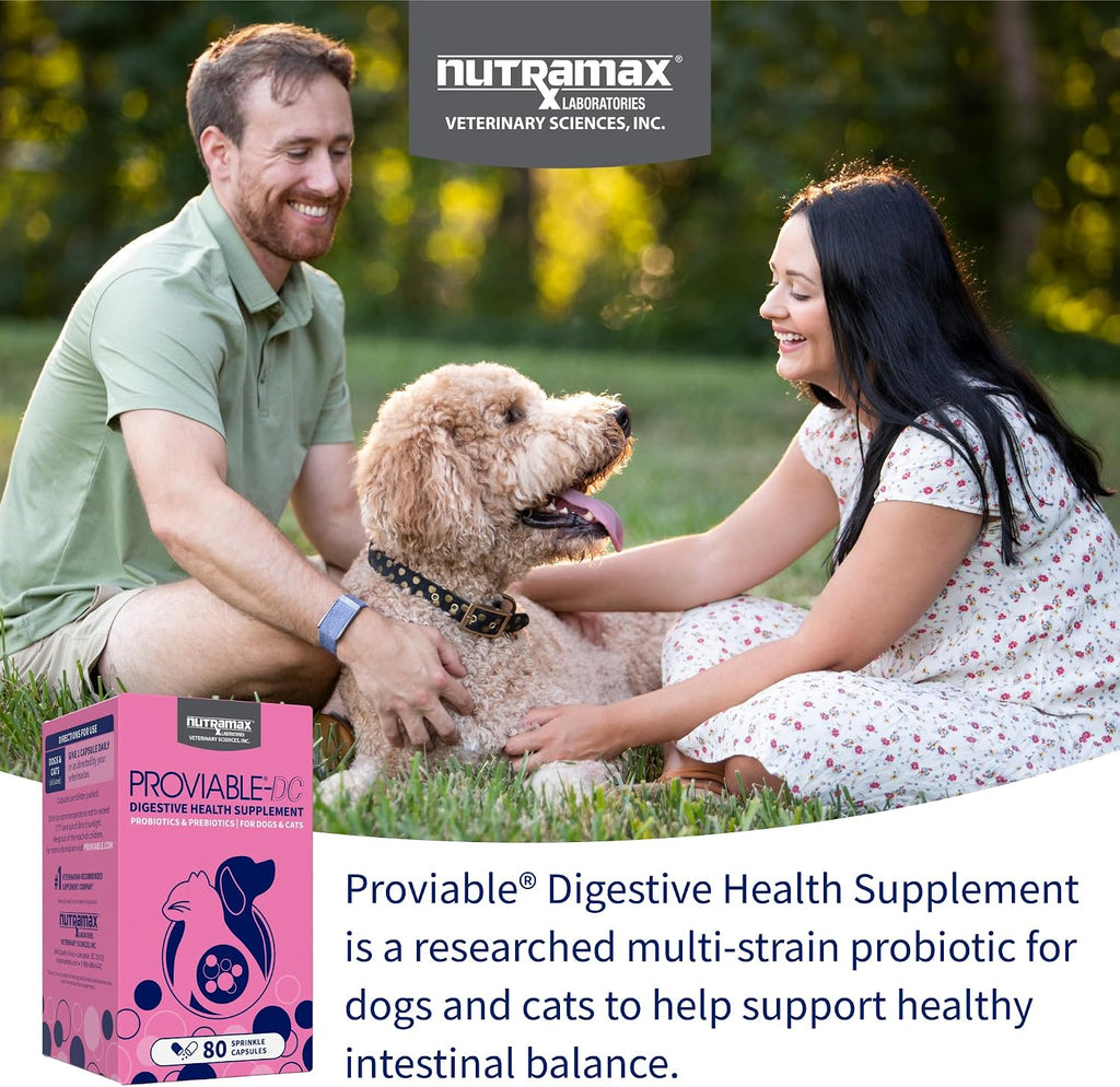Nutramax Proviable Probiotics + Prebiotics, for Dogs & Cats, Capsules, 80ct