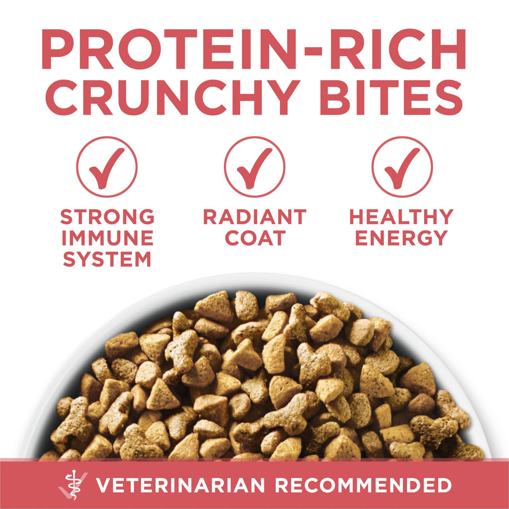 Purina ONE Indoor Advantage Weight Control Dry Cat Food, 16 lb Bag